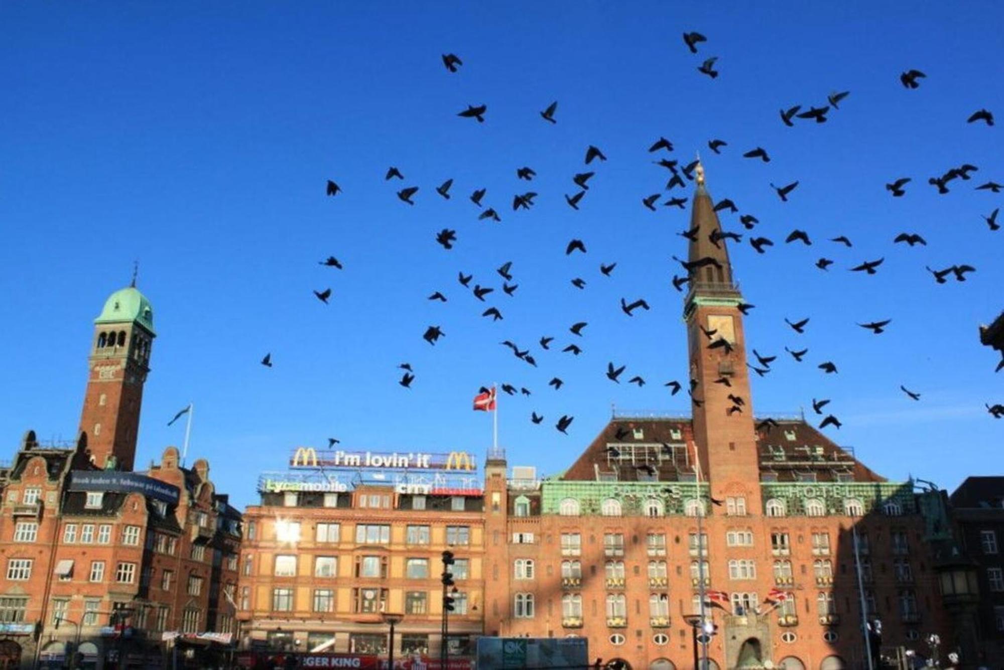 Apartmentincopenhagen 1556 Apartamento Copenhague